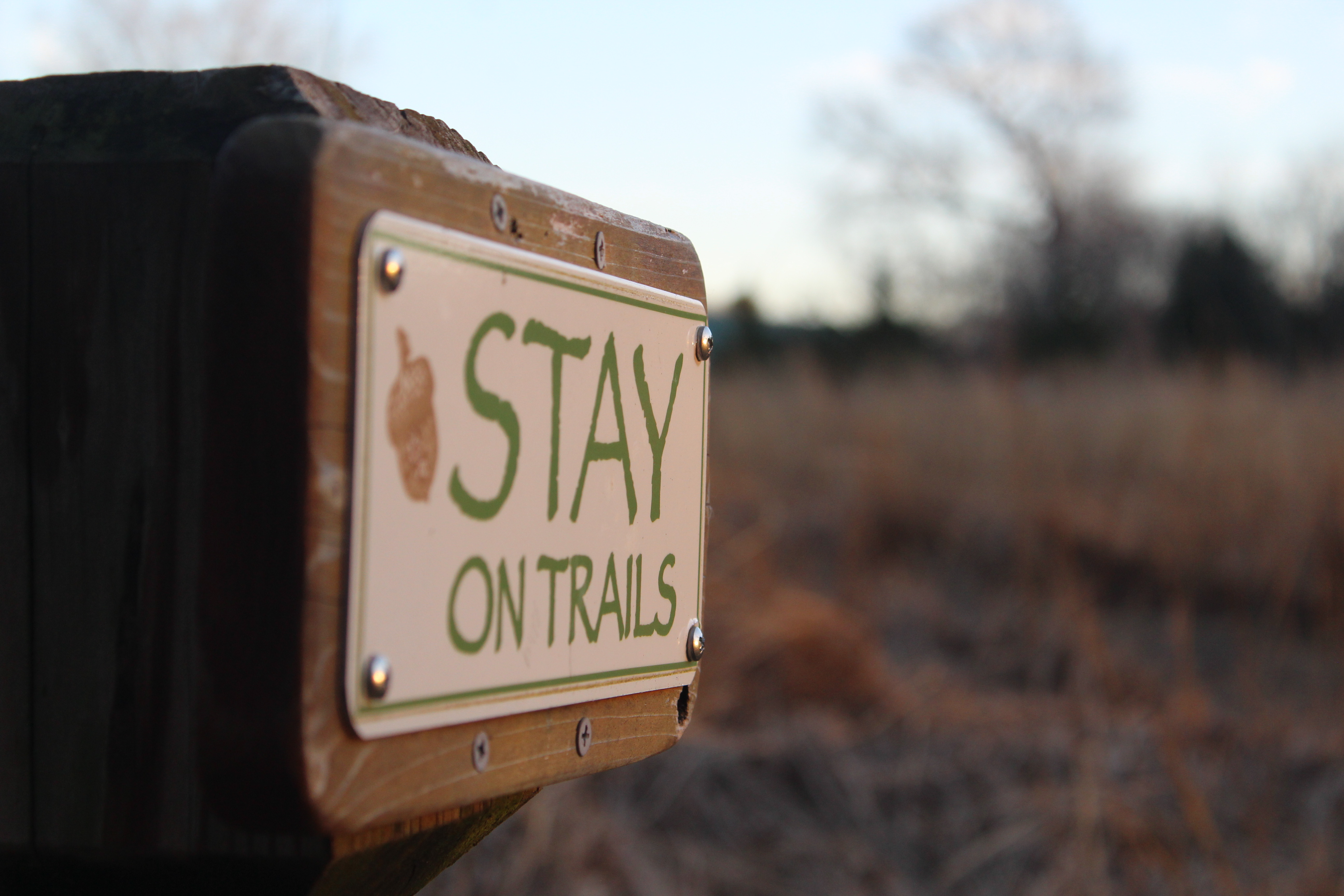 stay_on_trails.JPG